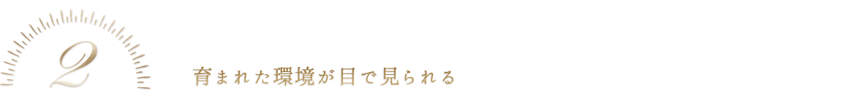 2 生まれた環境が目で見れる