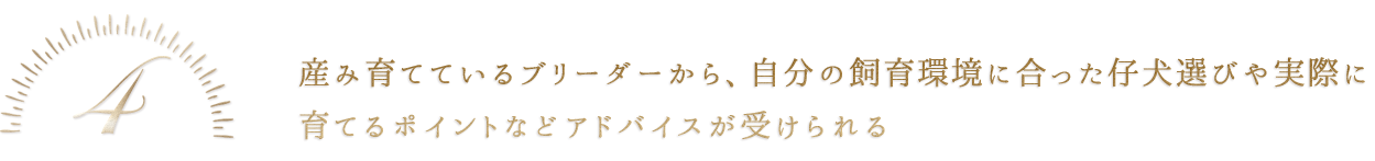 4 産み育てているブリーダーから、自分の飼育環境に合った仔犬選びや実際に育てるポイントなどアドバイスが受けられる