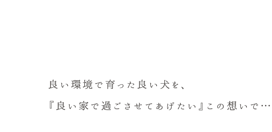 良い環境で育った良い犬を、『良い家で過ごさせてあげたい』この想いで…