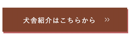 犬舎紹介はこちらから