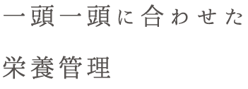 一頭一頭に合わせた栄養管理