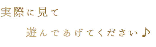 実際に見て遊んであげてください