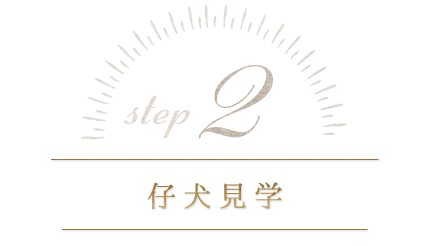 step.2 仔犬見学