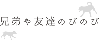 兄弟や友達のびのび