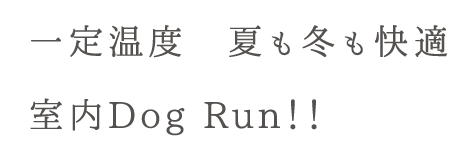 一定温度、夏も冬も快適室内Dog Run!!