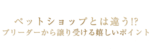 ペットショップとは違う!?