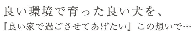 良い環境で