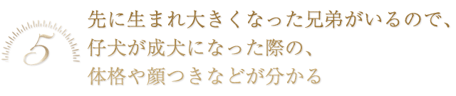 先に生まれ大きくなった兄