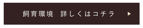 飼育環境 詳しくはこちら