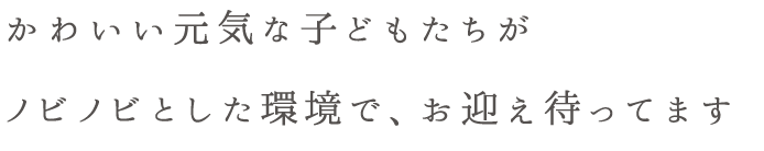 かわいい元気な子供たちがノビノビした環境で、お迎えを待っています